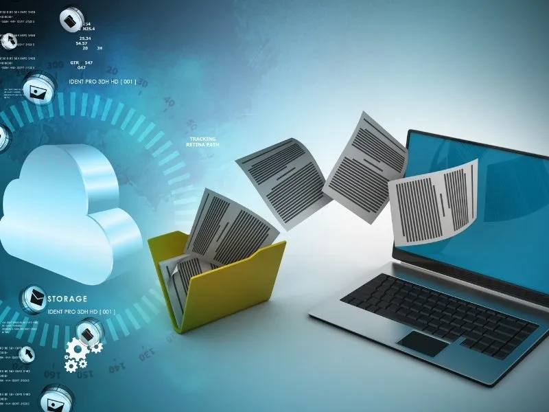 Wi88 chỉ thu thập dữ liệu từ người dùng khi họ chủ động tạo tài khoản