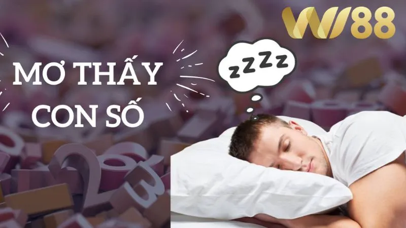 Cược thủ thích bắt số từ giấc mơ nên kết hợp với soi cầu để nâng cao tỷ lệ trúng thưởng